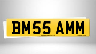 Registration BM55 AMM